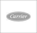 Carrier