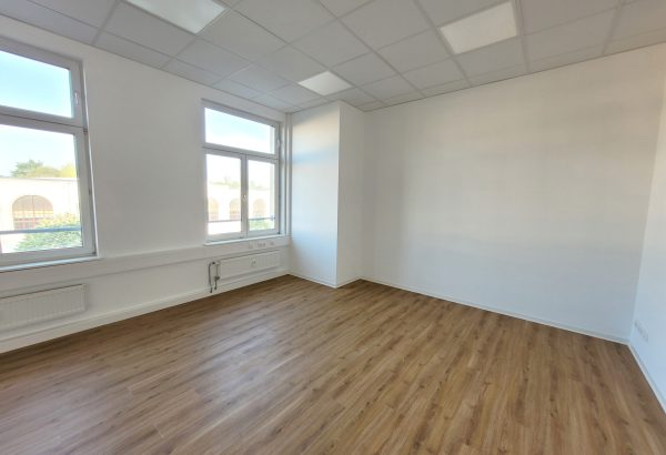 Neu 3